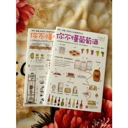 你不懂葡萄酒：有料有趣还有范儿的葡萄酒知识