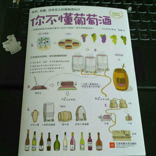 你不懂葡萄酒：有料有趣还有范儿的葡萄酒知识