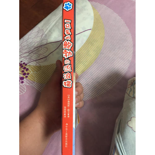 一只名叫鲍勃的流浪猫 (升级版)