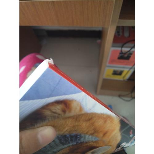 一只名叫鲍勃的流浪猫 (升级版)