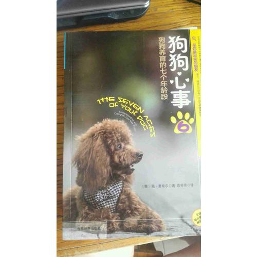 狗狗心事6：狗狗养育的七个年龄段