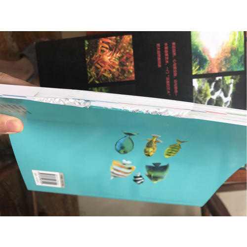 热带鱼·水草图鉴：近400种热带鱼及水草赏析与饲养技巧