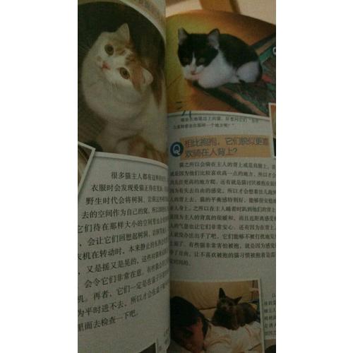 猫语大辞典