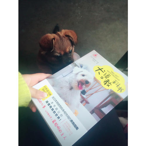 犬语教科书