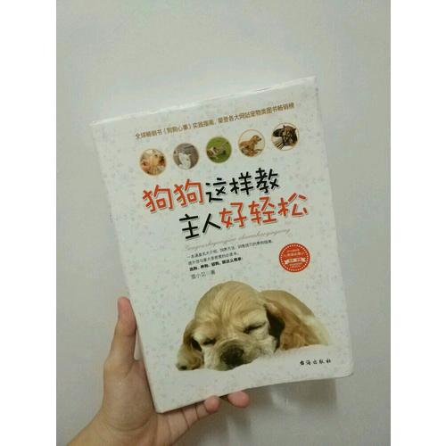 狗狗这样教，主人好轻松