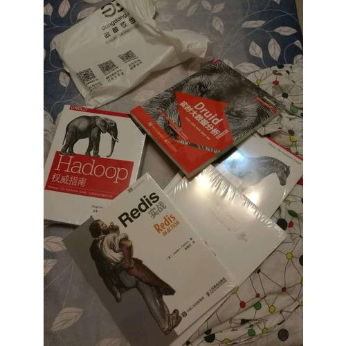 Hadoop指南：大数据的存储与分析（第4版）