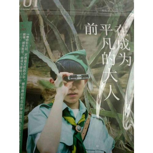 在成为平凡的大人前