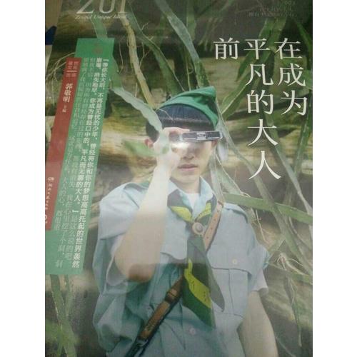 在成为平凡的大人前