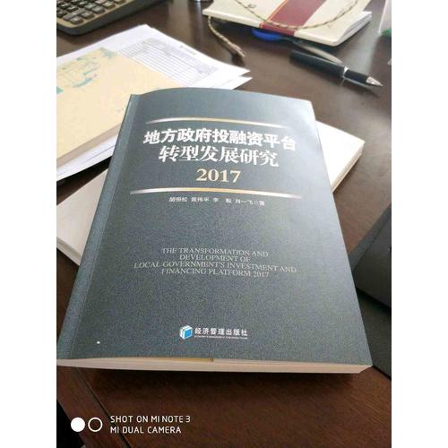 地方政府投融资平台转型发展研究（2017）