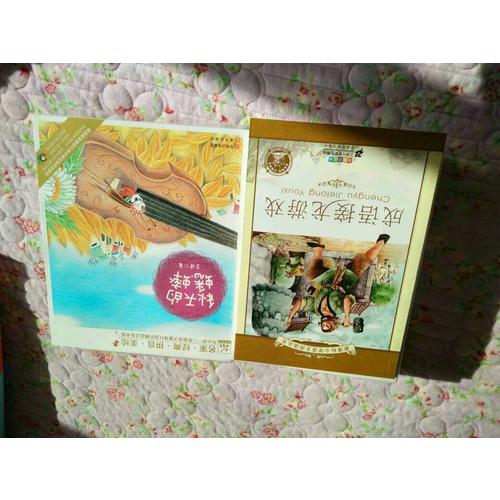 成语接龙游戏 新课标小学语文阅读丛书彩绘注音版（第六辑）