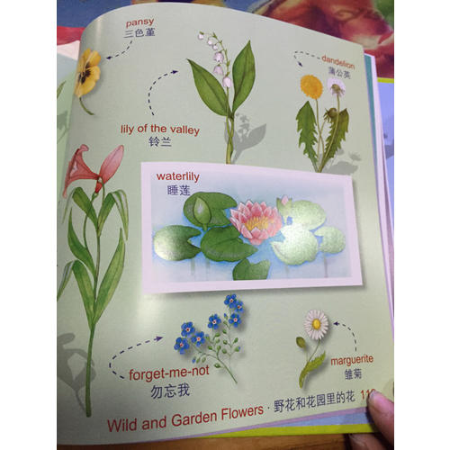 最美的英语单词认知书