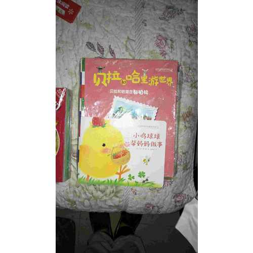 富兰克林和朋友们（共12册）