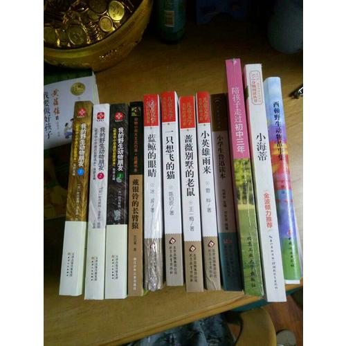 陪孩子走过初中三年