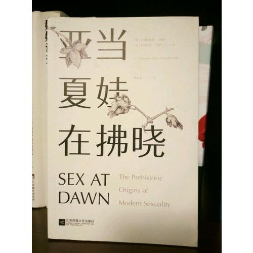 亚当夏娃在拂晓