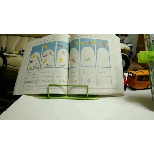 走进奇妙的数学世界（全3册）