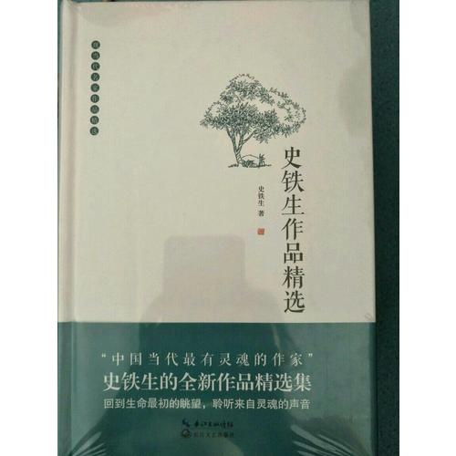史铁生作品精选