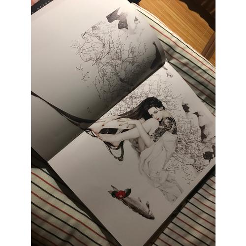 飞鸟与鱼:张小白个人作品集