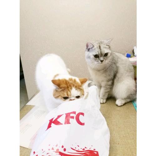 就喜欢你看不惯我 又干不掉我的样子2