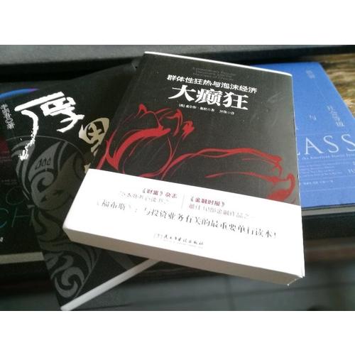 大癫狂：群体性狂热与泡沫经济
