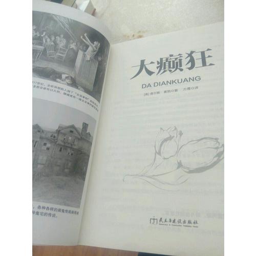 大癫狂：群体性狂热与泡沫经济