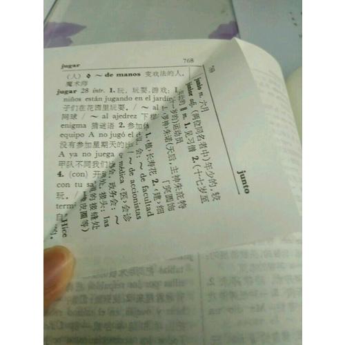 简明西汉词典（精）