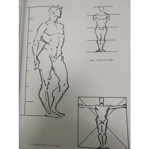 伯里曼人体结构绘画教学（白金版）