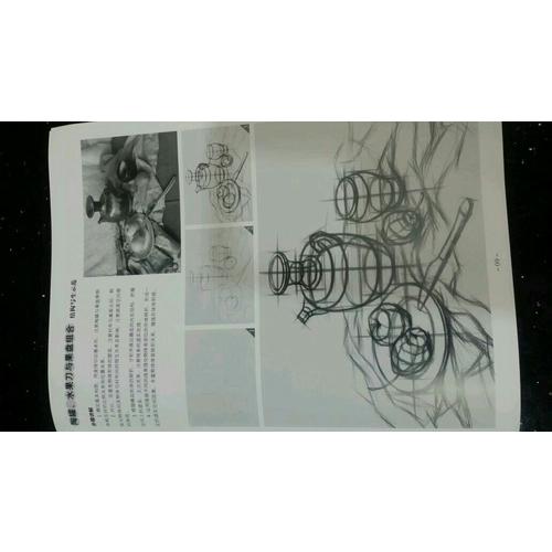 素描基础教程.从结构到明3组合静物