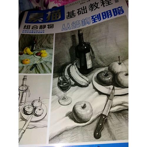 素描基础教程.从结构到明3组合静物