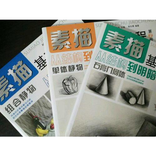 素描基础教程.从结构到明3组合静物