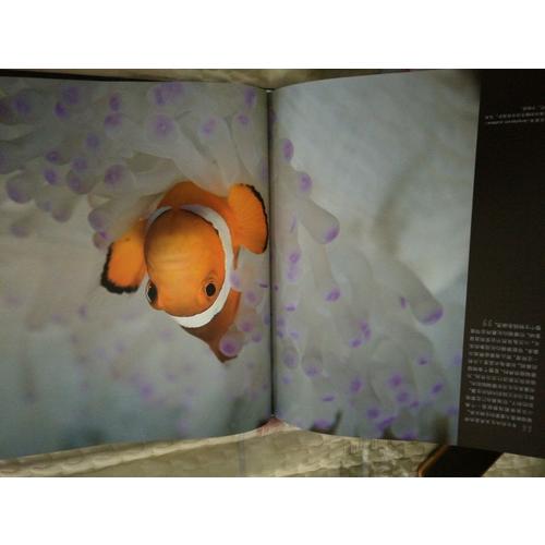 DK海底世界：珊瑚礁和鱼类的天堂