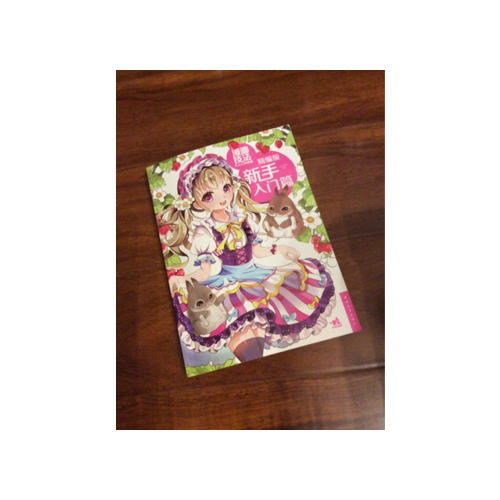 漫画技法从入门到精通：精编版新手入门篇