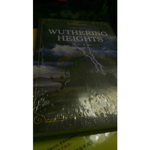呼啸山庄 全英文版