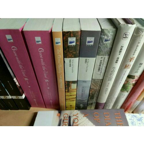 飘（上下册）：英文