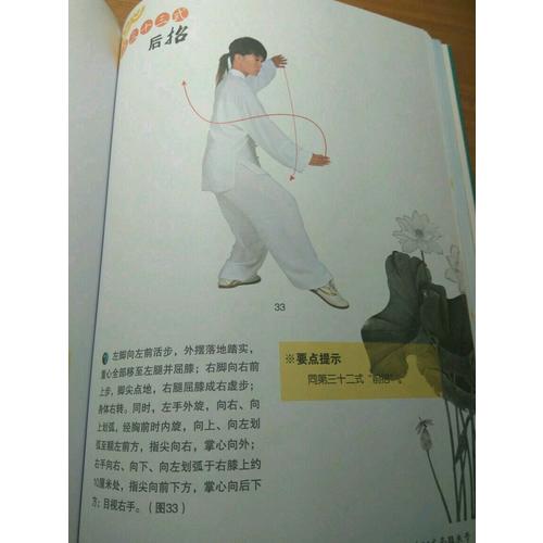 陈式太极拳标准56式（书+DVD）