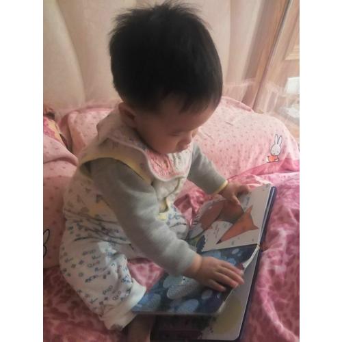 偷偷看里面系列（全4册）