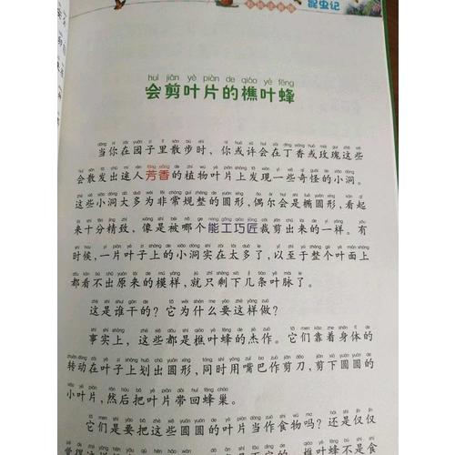 昆虫记（彩绘注音版）
