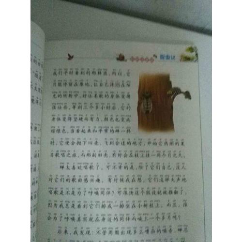 昆虫记（彩绘注音版）