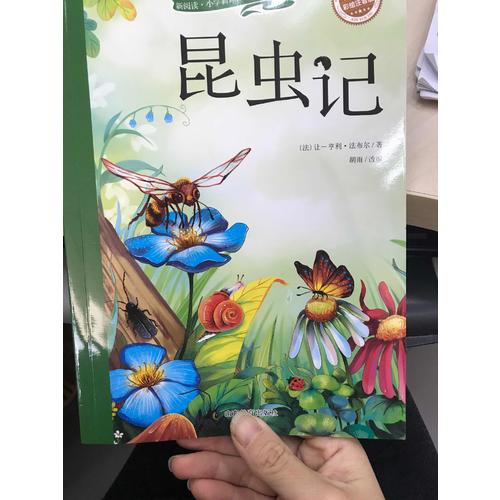昆虫记（彩绘注音版）