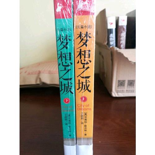 梦想之城（上下册）