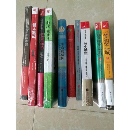 梦想之城（上下册）