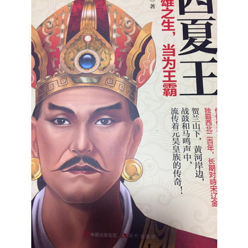 西夏王：英雄之生，当为王霸