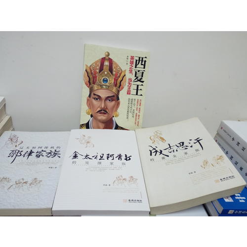 西夏王：英雄之生，当为王霸