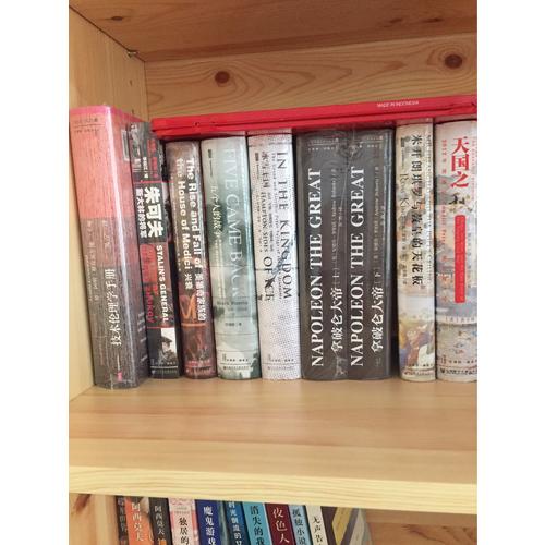 美第奇家族的兴衰