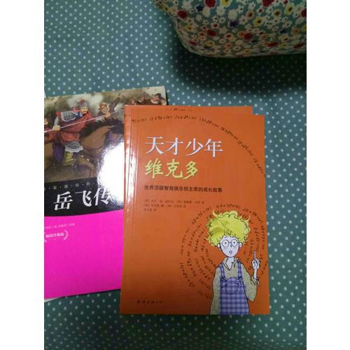 天才少年维克多