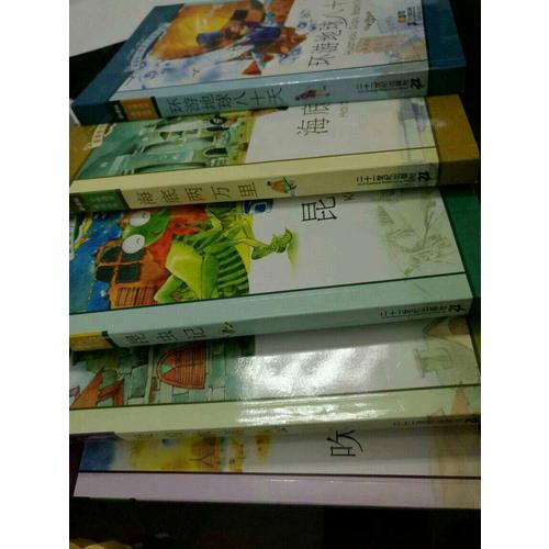 新课标小学语文阅读丛书彩绘注音版 及时辑（共10册）