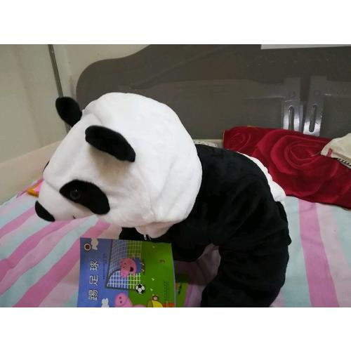 小猪佩奇（全10册）