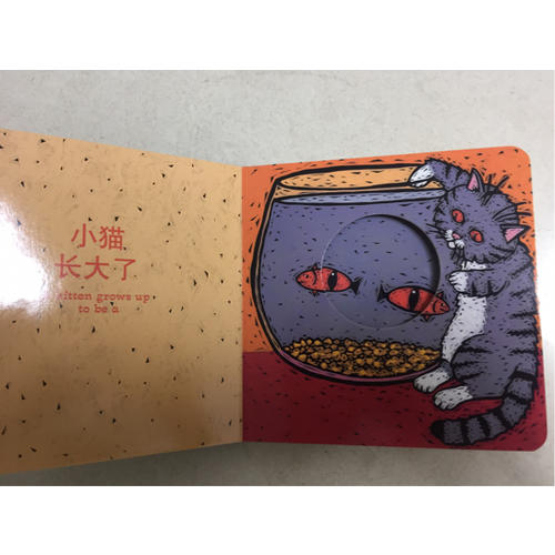 宝宝的及时本躲猫猫游戏书 猜猜我是谁系列套装（全4册）