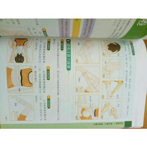 图解人体经络穴位养生一本通