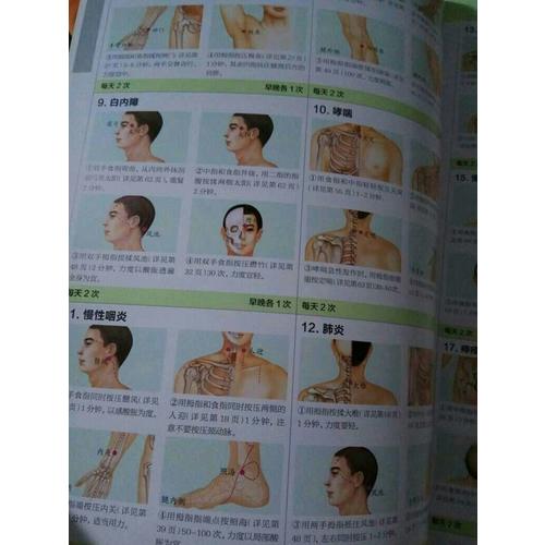 图解人体经络穴位养生一本通