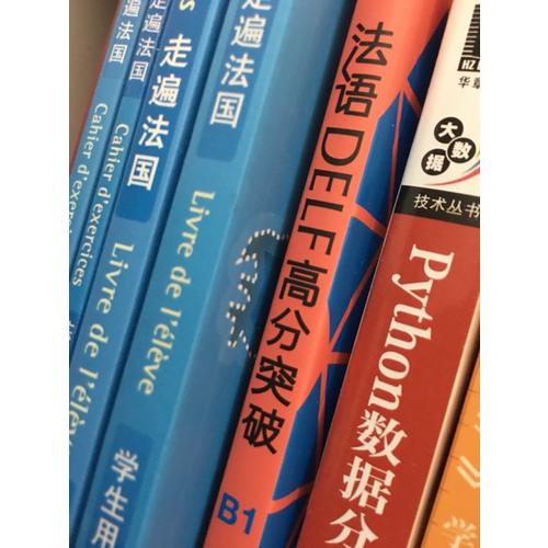 法语DELF高分突破(B1)